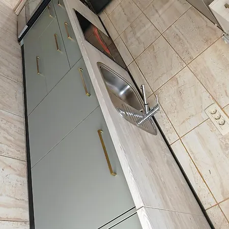 فيلة House 