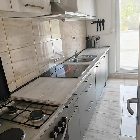 فيلة House 