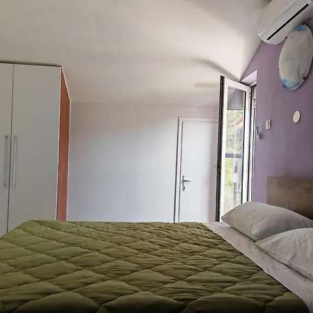 فيلة House 