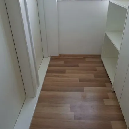 فيلة House 